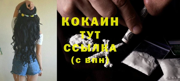 дурь Бородино