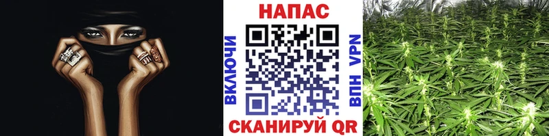 Канабис Bruce Banner  Тобольск 